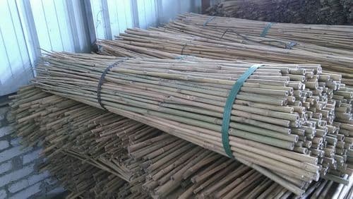 Tonkin Moso Tam Vong Gai Bamboo Poles_ Canes